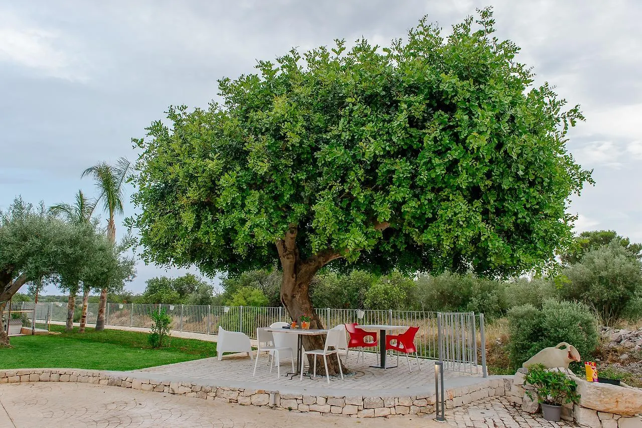 לינה וארוחת בוקר שיקלי Barokhouse